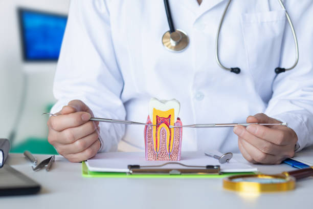 Best Emergency Dentist for Special Needs Patients in Riverbend, WA